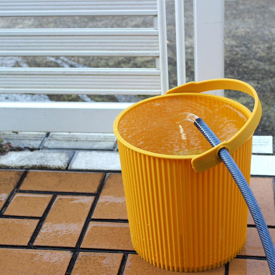 mustard bucket