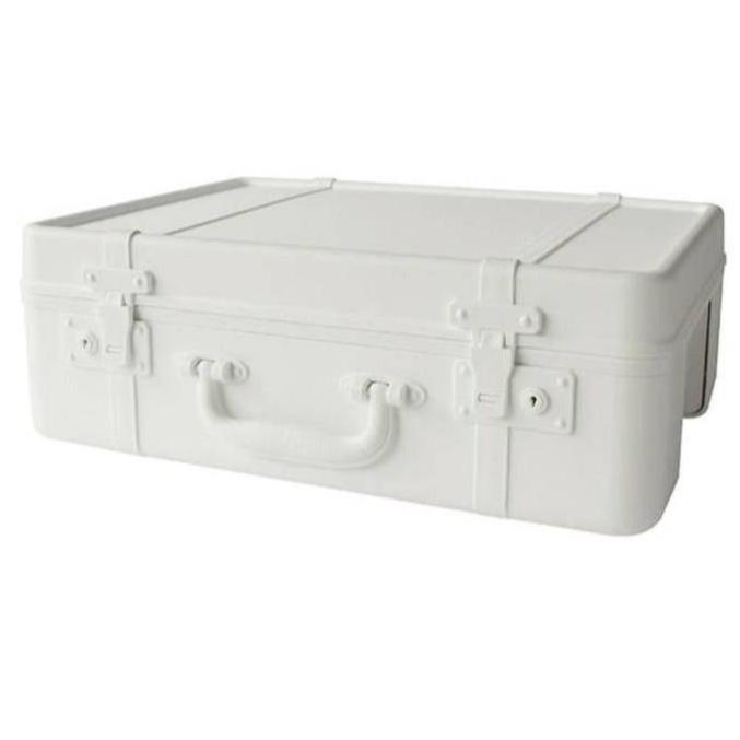 plastic trunk white